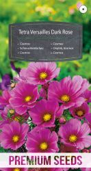 Cosmos Tetra Versailles Dark Rose Seeds.